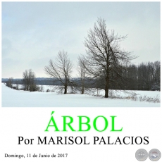 ÁRBOL - Por MARISOL PALACIOS - Domingo, 11 de Junio de 2017